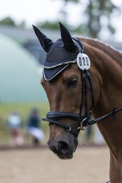 Bild 601 - Pony Akademie Turnier